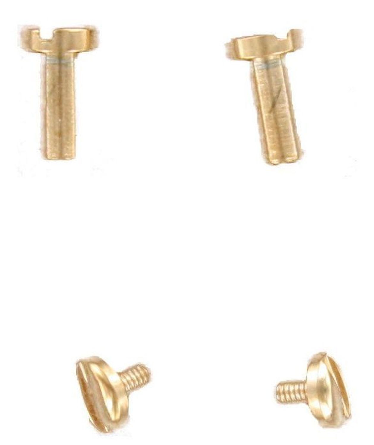 Oryginalne śruby do paska Fossil ES3077 – śruby mocujące..jpg